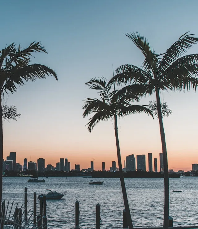Palmen im Sonnenuntergang am Ocean Drive, South Beach Miami
